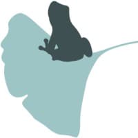 Frog Design
