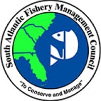 the Atlantic Council