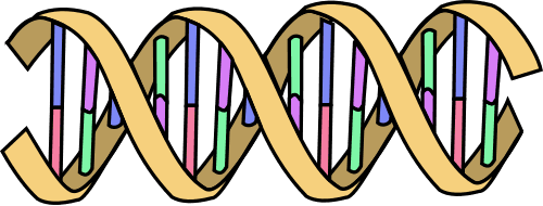 Biocatalytic Cannabinoid Pathways