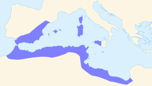 Carthaginian