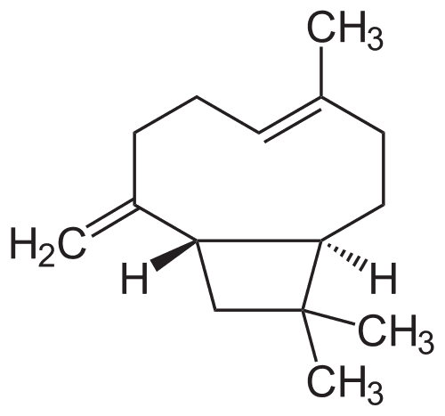 Caryophyllene