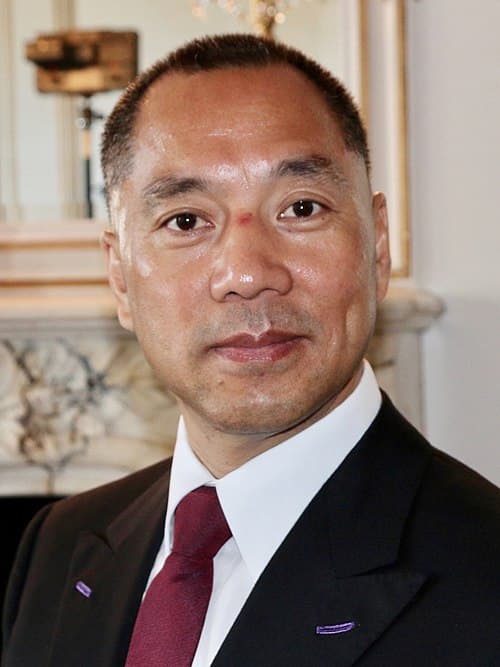 Guo Wengui Kicks