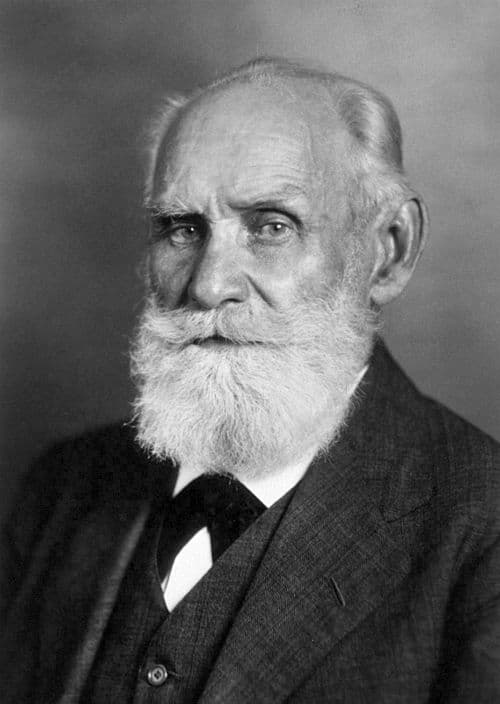 Ivan P Pavlov