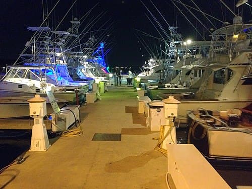 Jane Musgrave Palm Beach