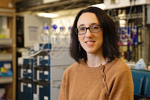 184 Peter D. DeChiara