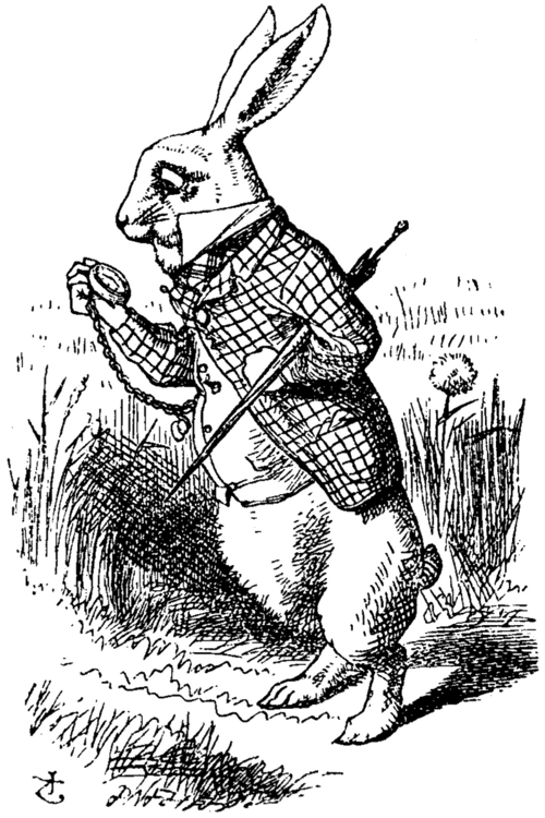 Rachel Rabbit White's