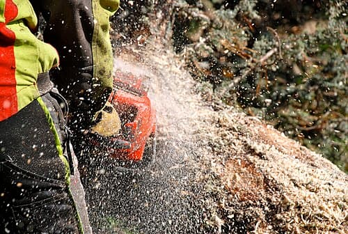 Sanders Spinning Mill